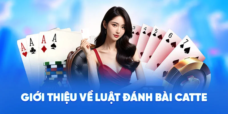 Giới thiệu về luật đánh bài catte